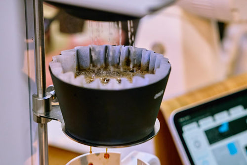 Norse Code Cold Filter Brew