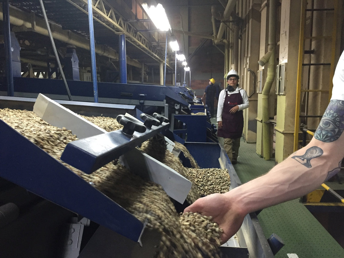 Coffee processing in Colombia 