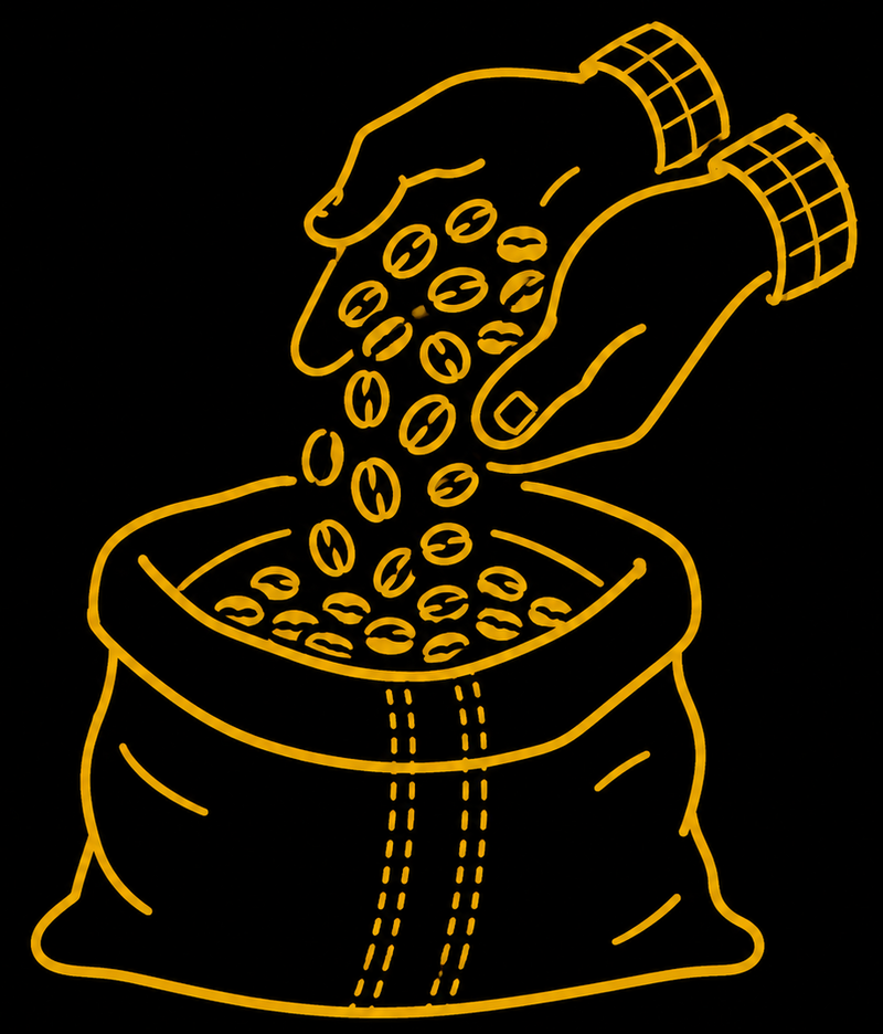 Minimalist gold line illustration of hands pouring green coffee beans into a burlap coffee sack, symbolising green coffee sourcing and bean selection, on a black background.