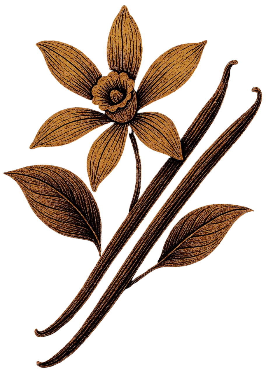 organic vanilla